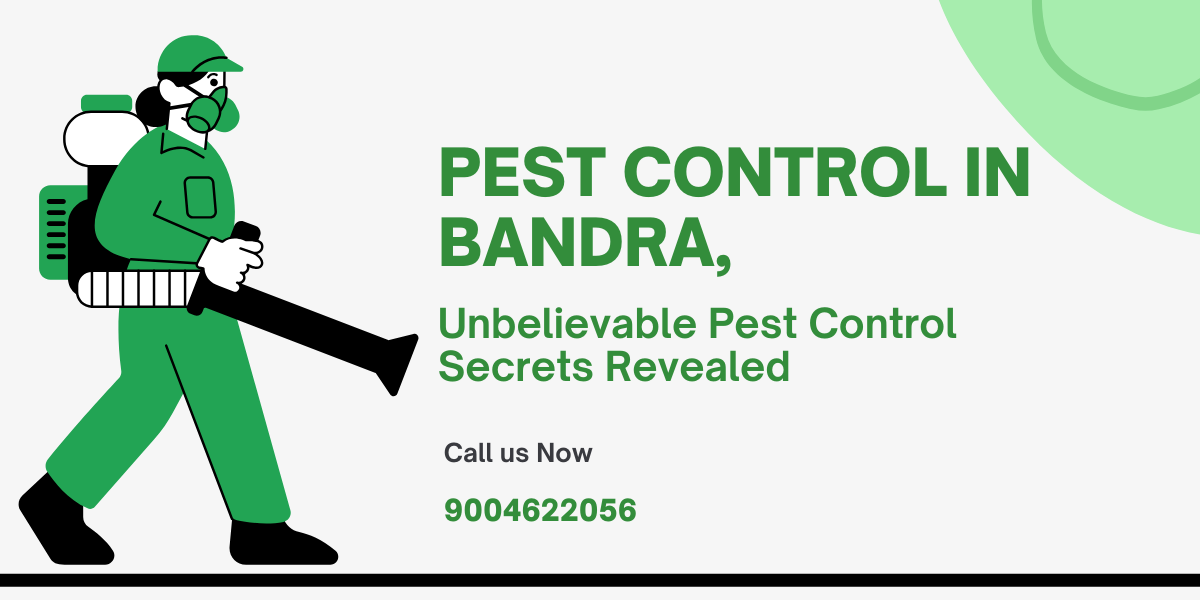 Pest Control in Bandra, Unbelievable Pest Control Secrets Revealed