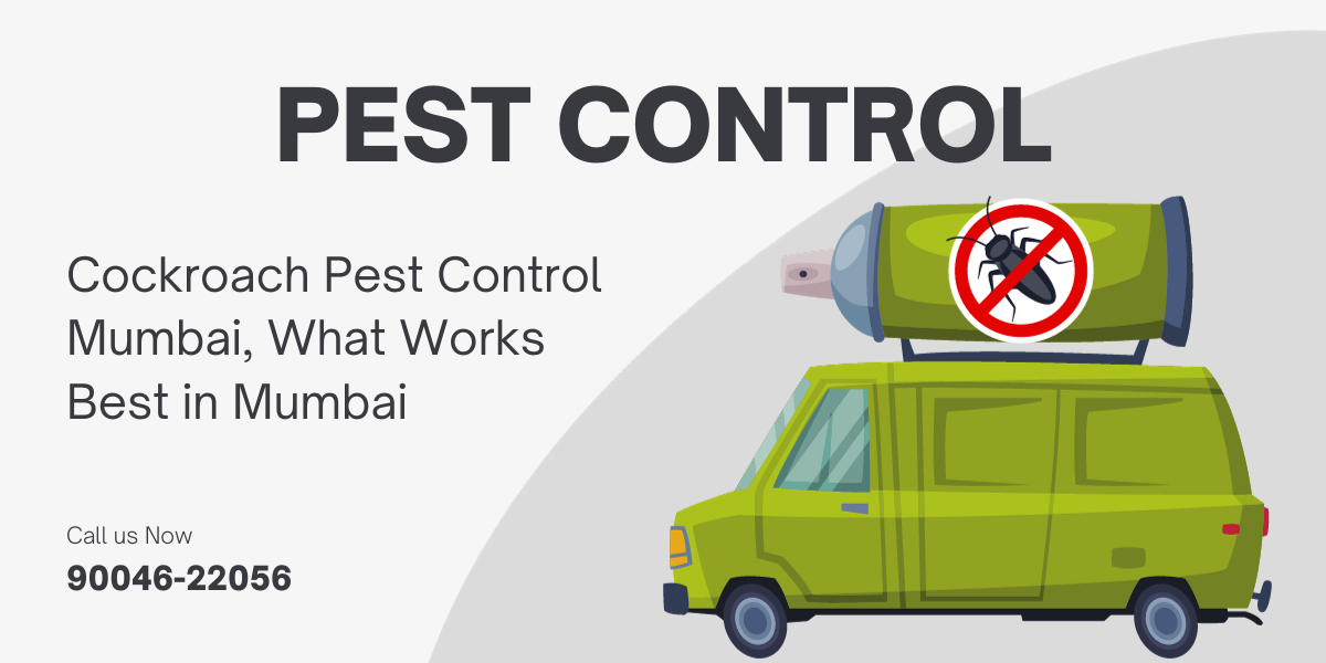 Cockroach Pest Control Mumbai, What Works Best in Mumbai