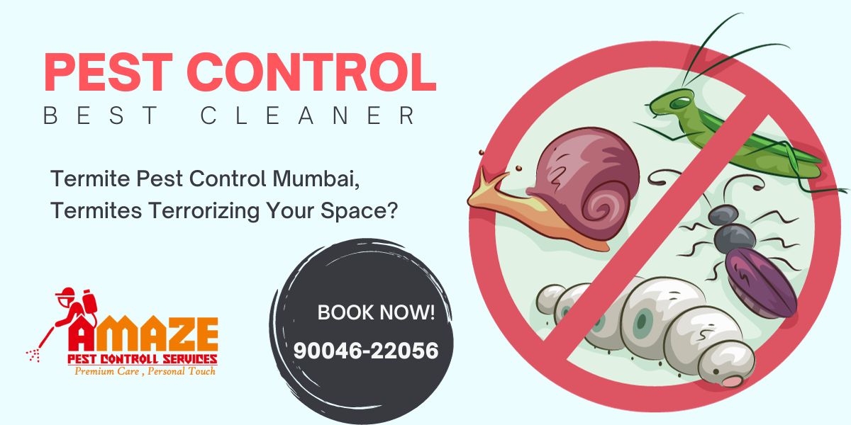 Termite Pest Control Mumbai, Termites Terrorizing Your Space?