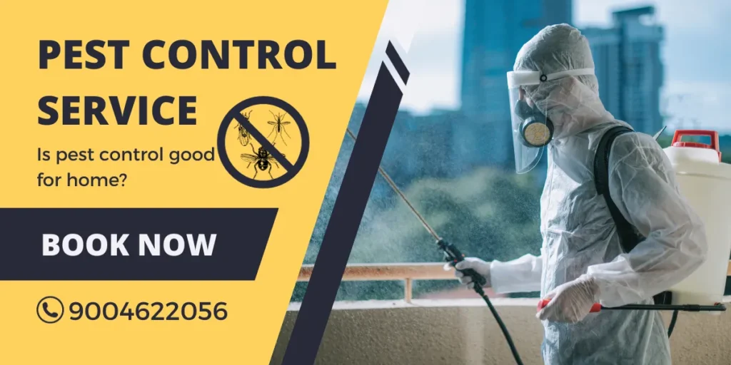 Pest Control Prices In Bandra, Hidden Costs and Must-Know Tips