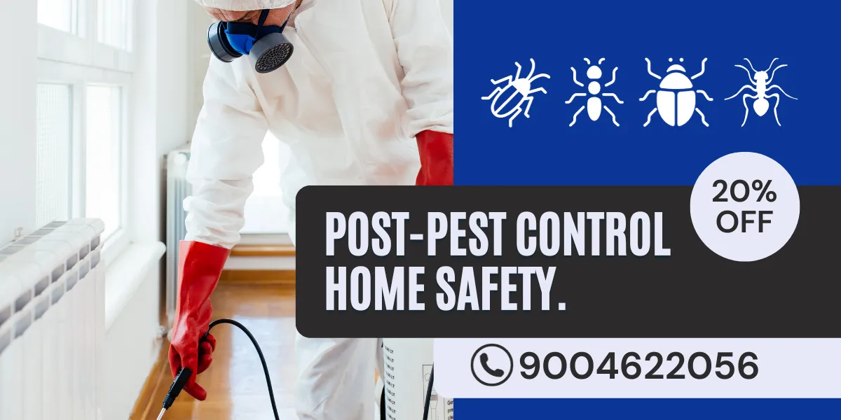 Post-Pest Control Home Safety, The Science of Safe Reentry.