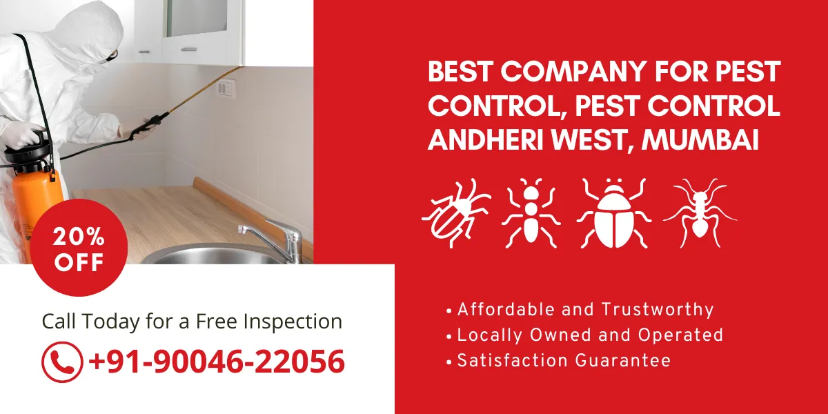 Best Company For Pest Control, Pest Control Andheri West, Mumbai