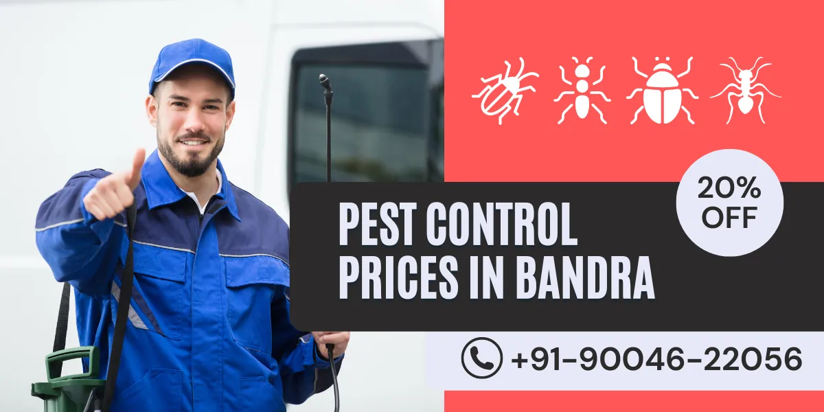 Pest Control Prices In Bandra, Hidden Costs and Must-Know Tips