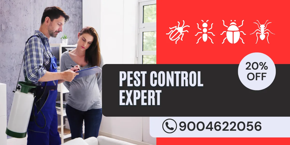 Most Harmful Pest In Mumbai, Pest Control Experts
