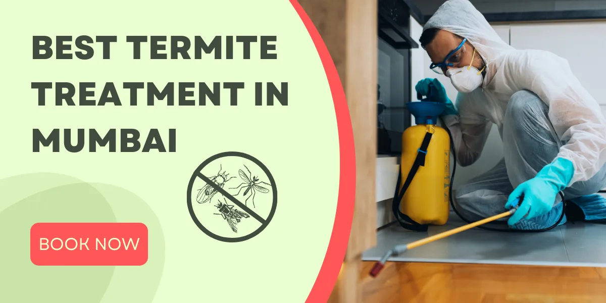 Best Termite Treatment In Mumbai - Pest Control Experts