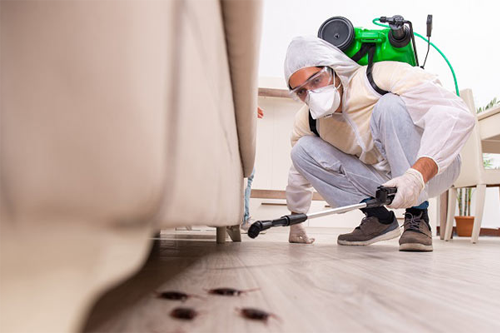 pest control service in goregaon